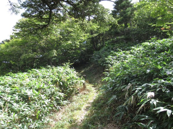 登山道
